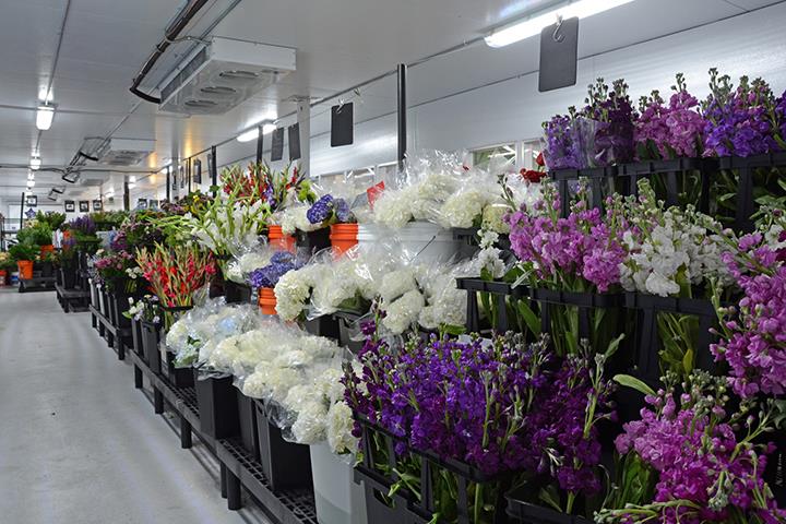 Flowers of Jacksonville - Jacksonville, FL